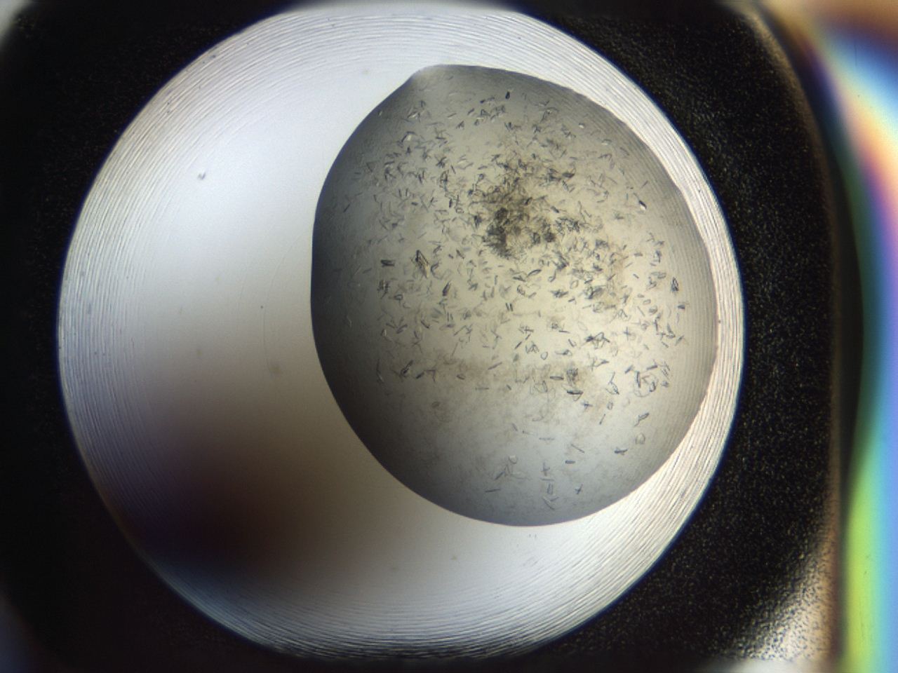 04cm_F5_ImagerDefaults_7.jpg