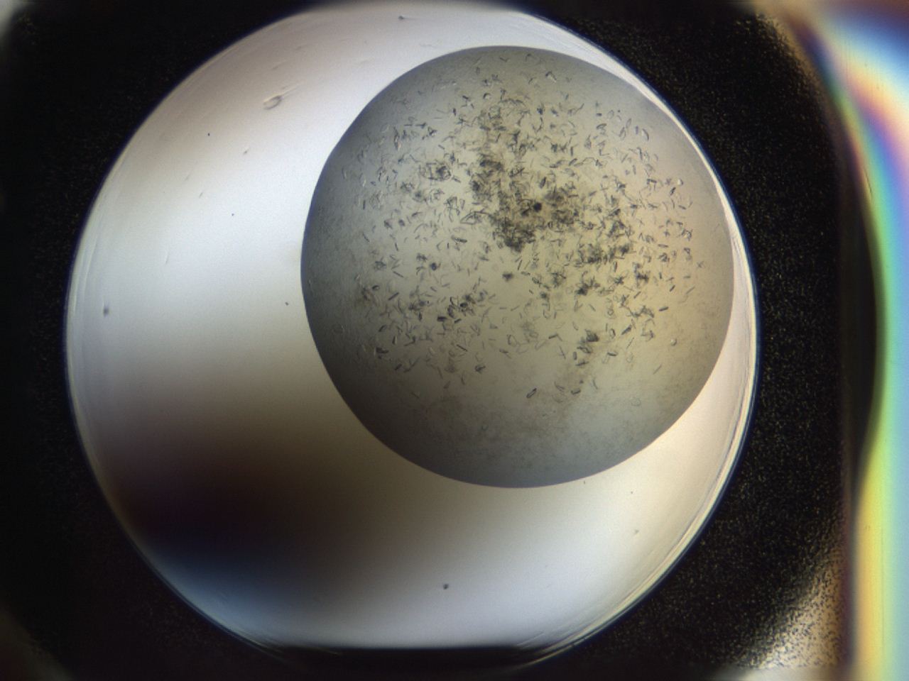 04cm_F6_ImagerDefaults_7.jpg