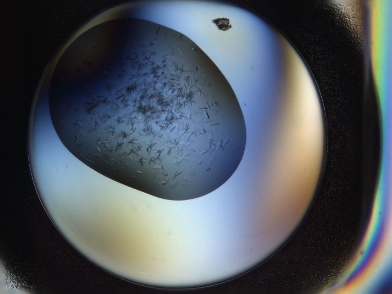 04cm_F6_ImagerDefaults_8.jpg