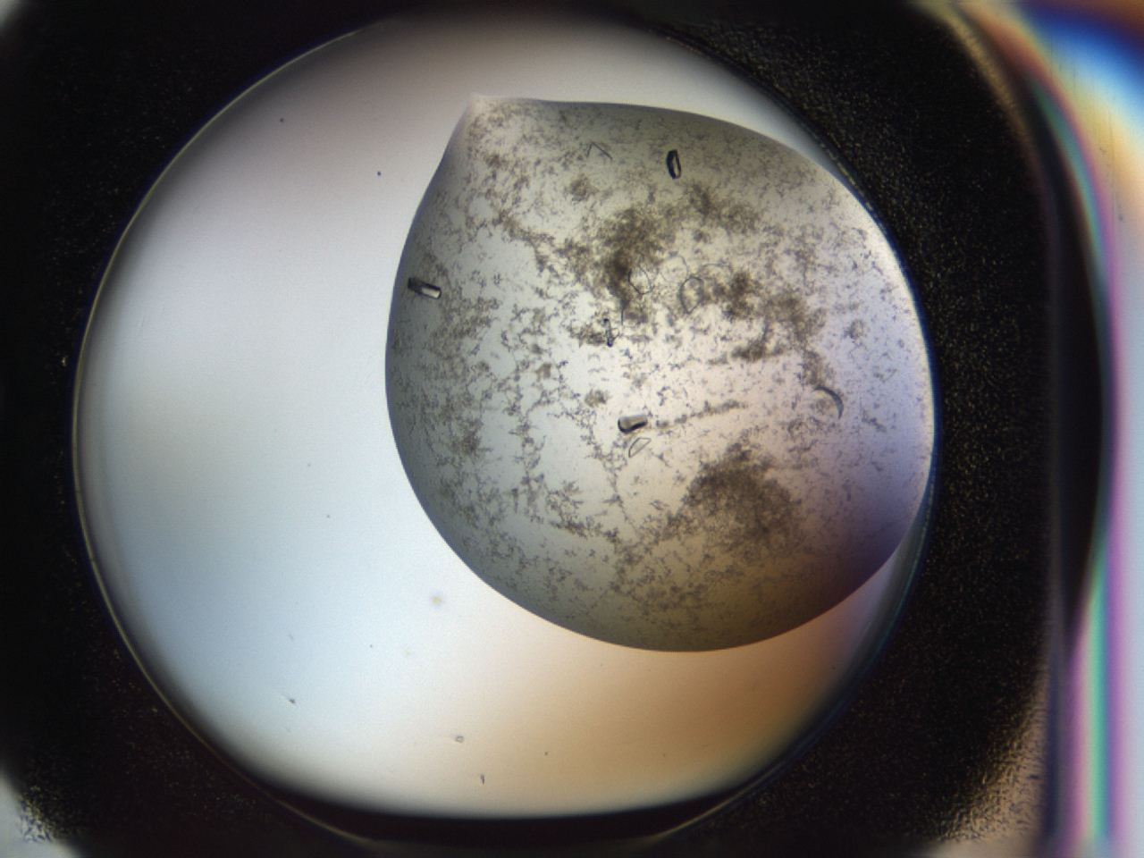 04cm_G4_ImagerDefaults_8.jpg