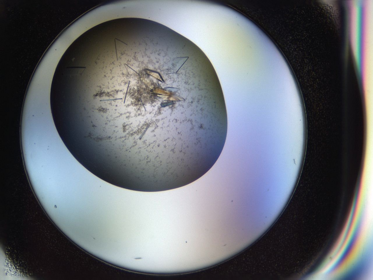 04cm_G4_ImagerDefaults_9.jpg
