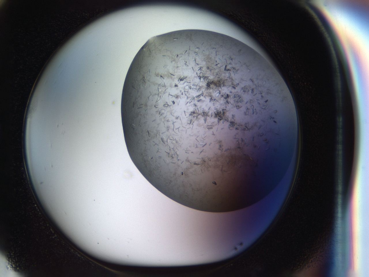 04cm_G5_ImagerDefaults_7.jpg