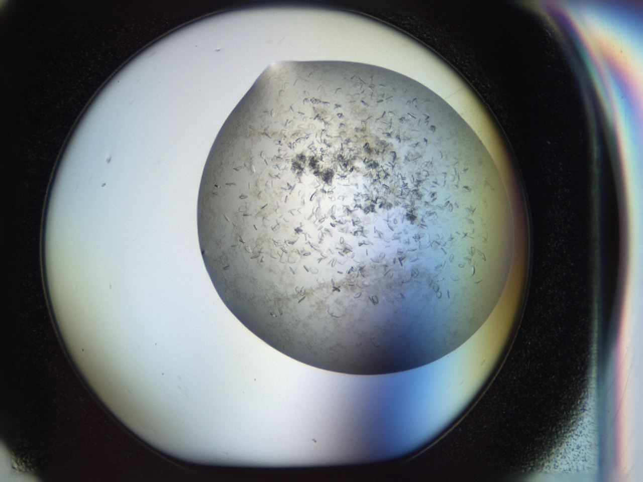 04cm_G6_ImagerDefaults_7.jpg