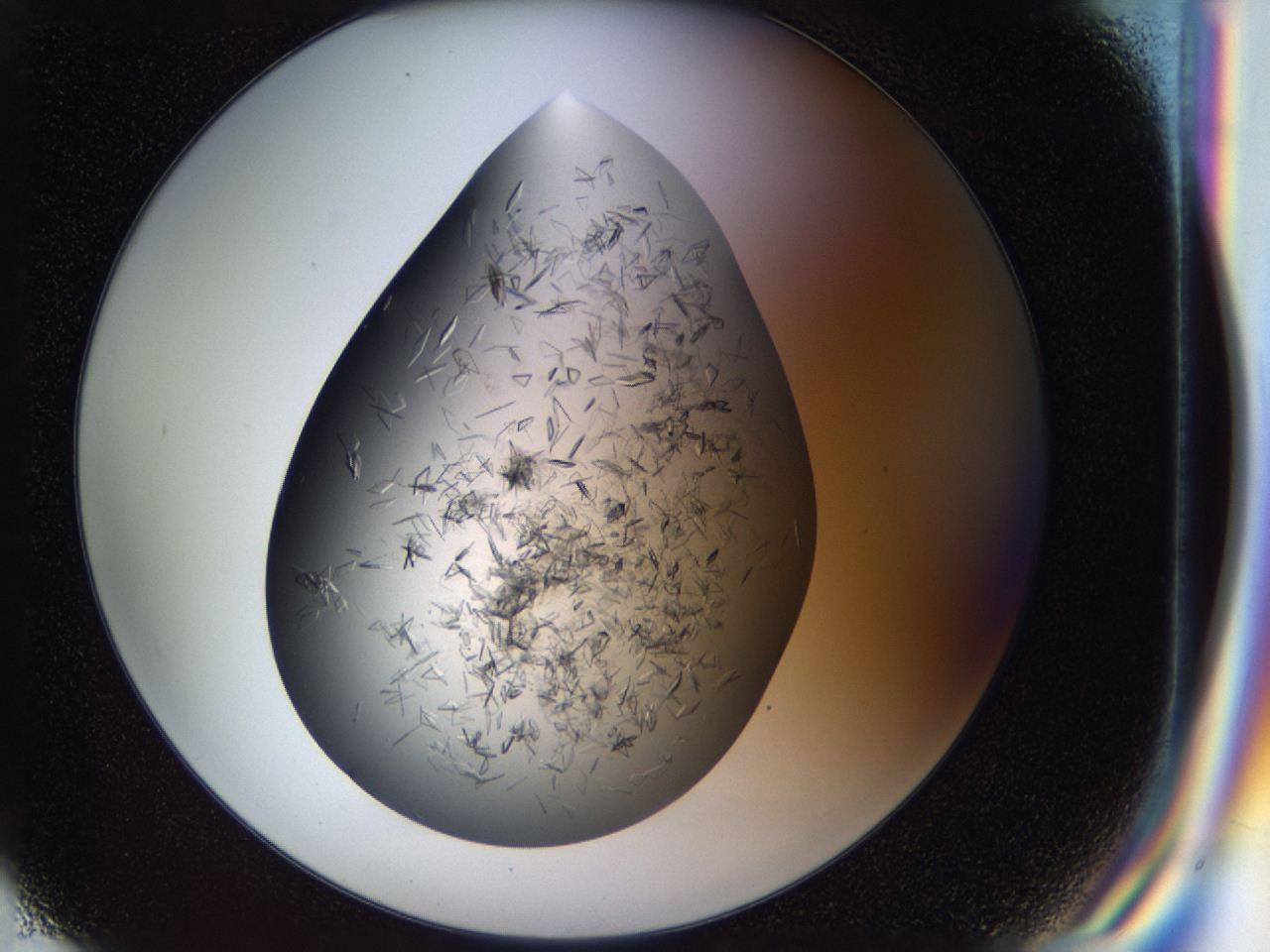 04cm_G6_ImagerDefaults_8.jpg