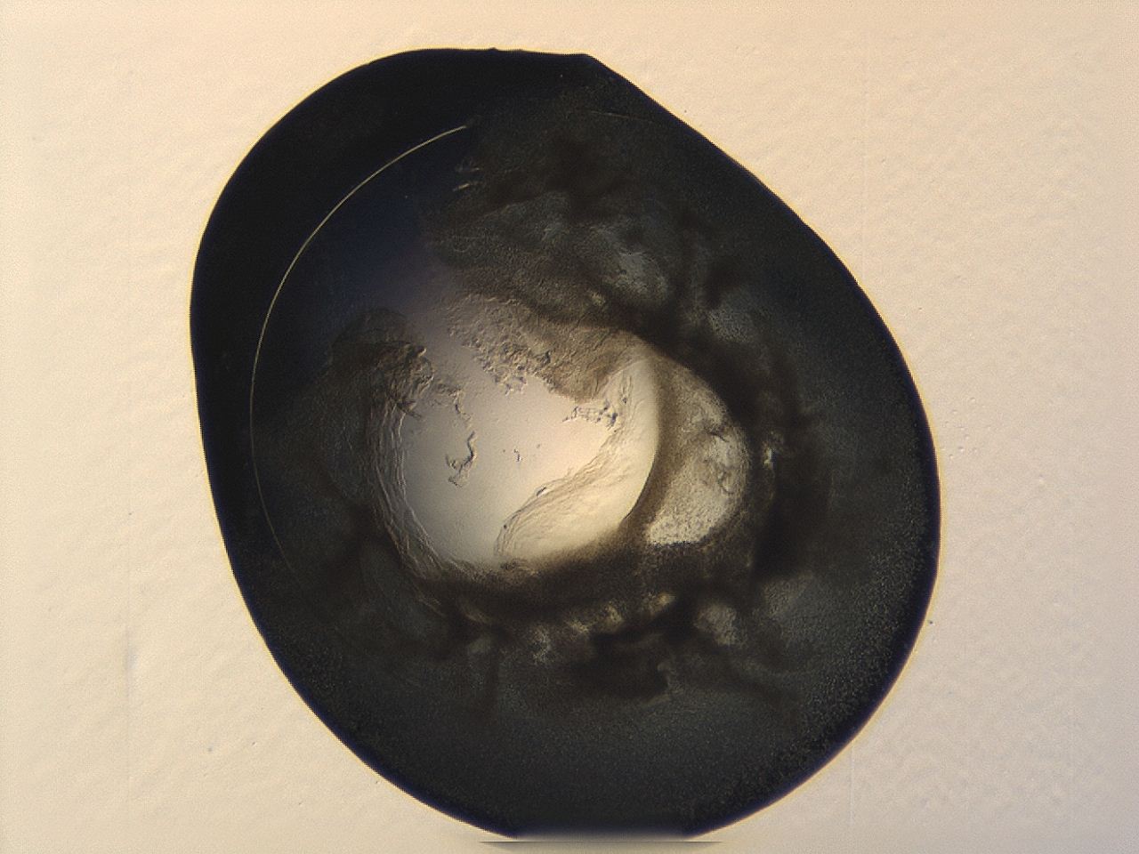 04cn_A10_ImagerDefaults_3.jpg