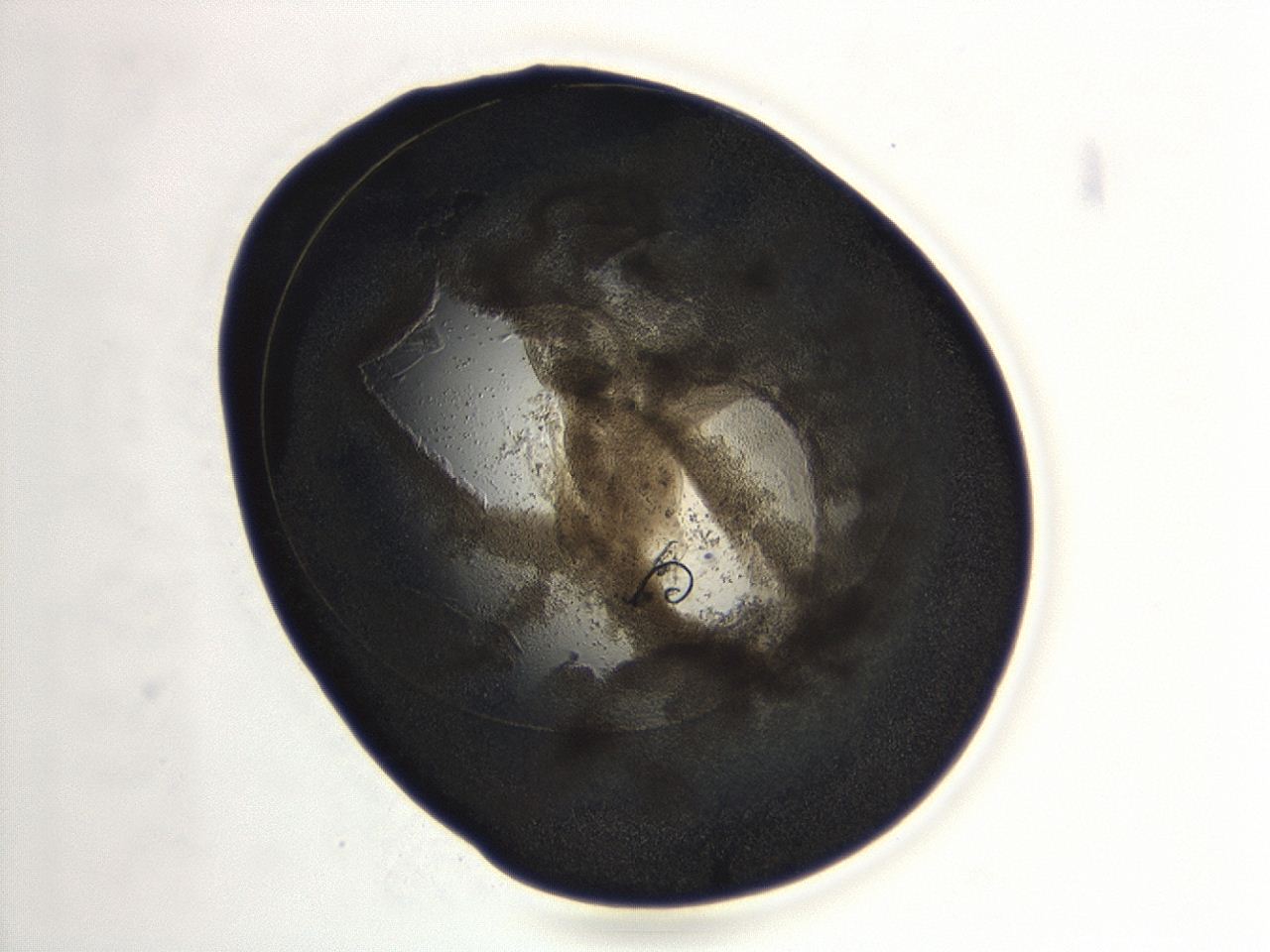04cn_A12_ImagerDefaults_3.jpg