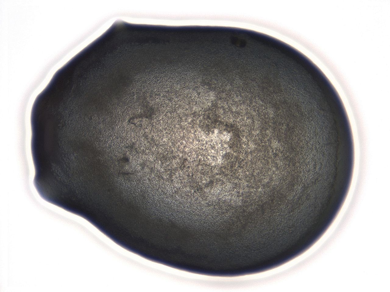 04cn_B1_ImagerDefaults_3.jpg