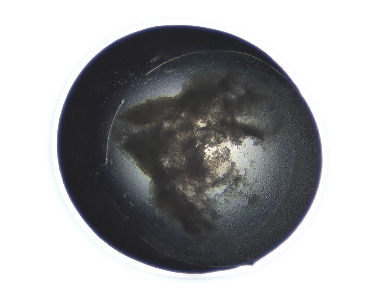04cn_D10_ImagerDefaults_3.jpg