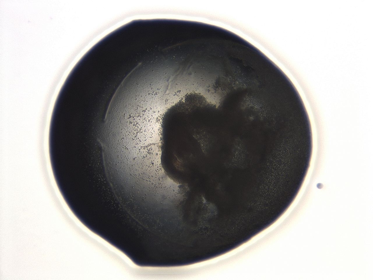 04cn_B10_ImagerDefaults_3.jpg