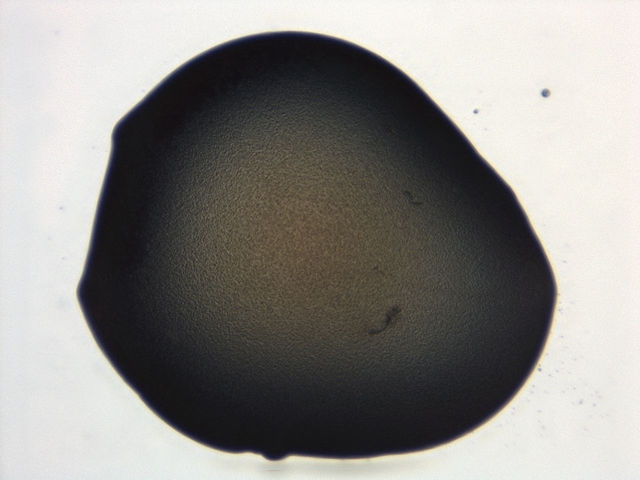 04cn_C12_ImagerDefaults_3.jpg
