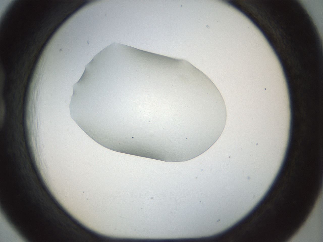 folderID7_plateID1007_batchID1603_wellNum18_profileID1_d1_r41844_ef.jpg