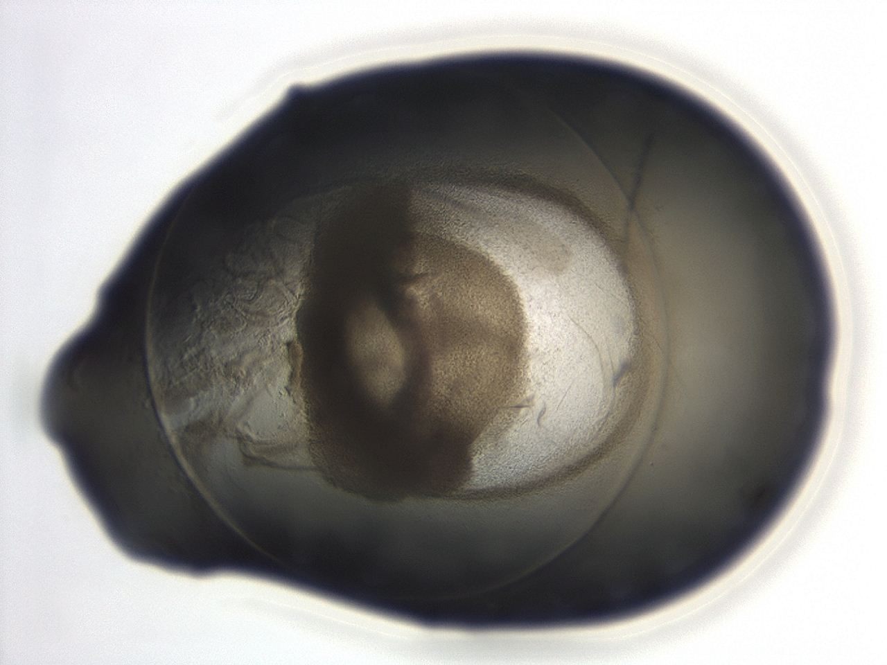 04cn_E12_ImagerDefaults_3.jpg