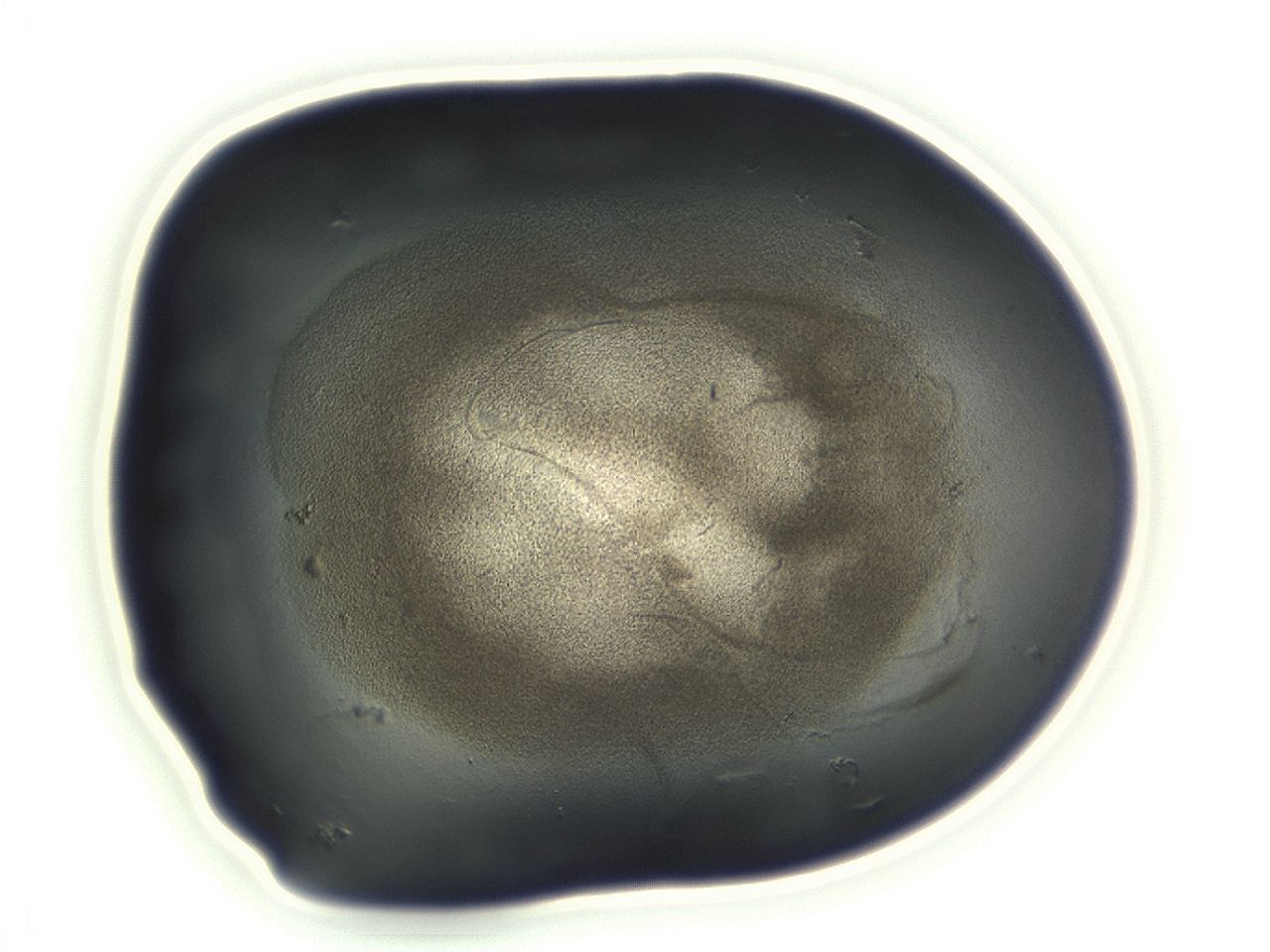 04cn_F2_ImagerDefaults_3.jpg