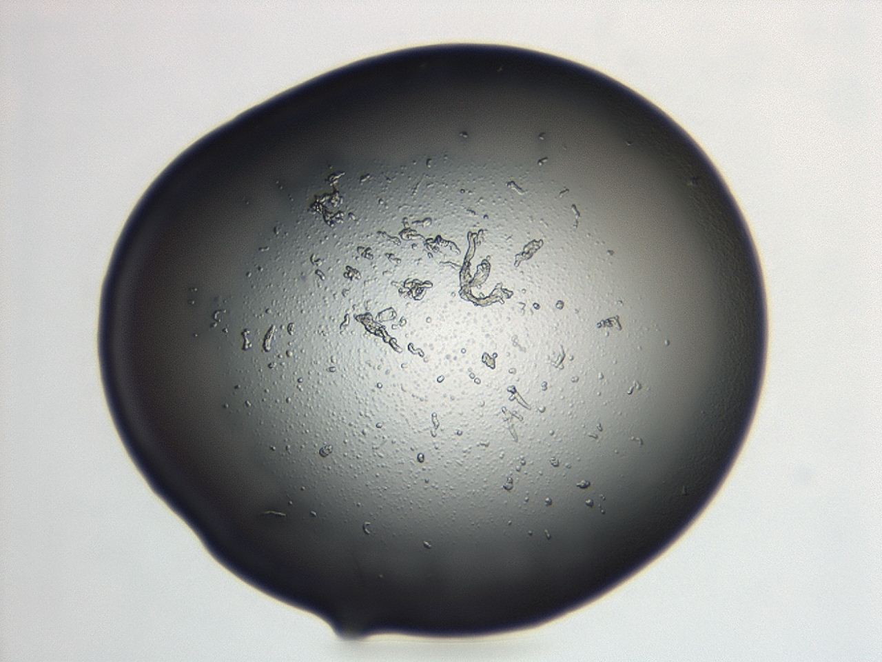 04cn_G5_ImagerDefaults_3.jpg