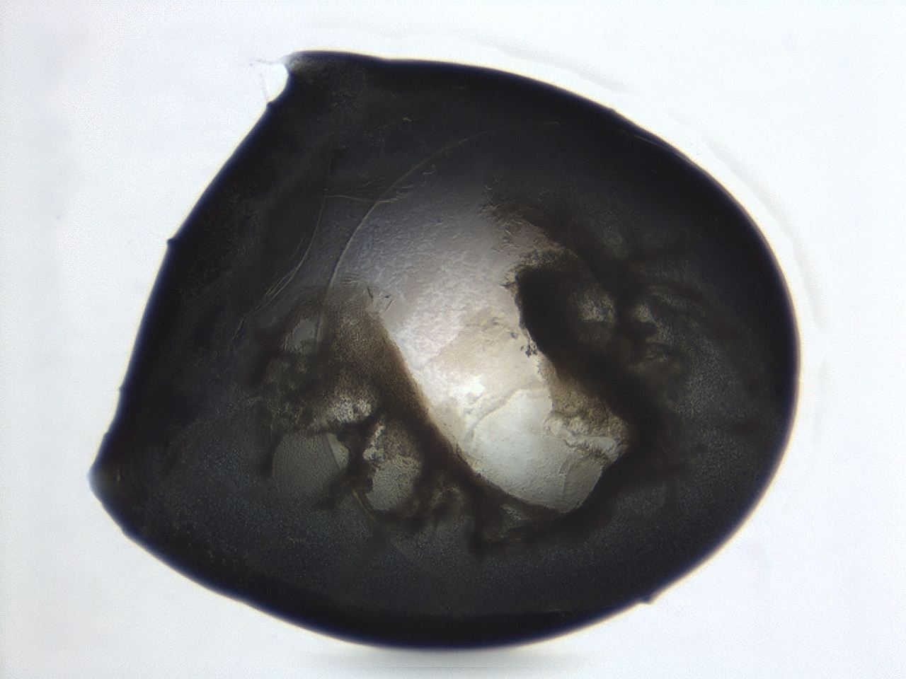 04cn_G7_ImagerDefaults_3.jpg