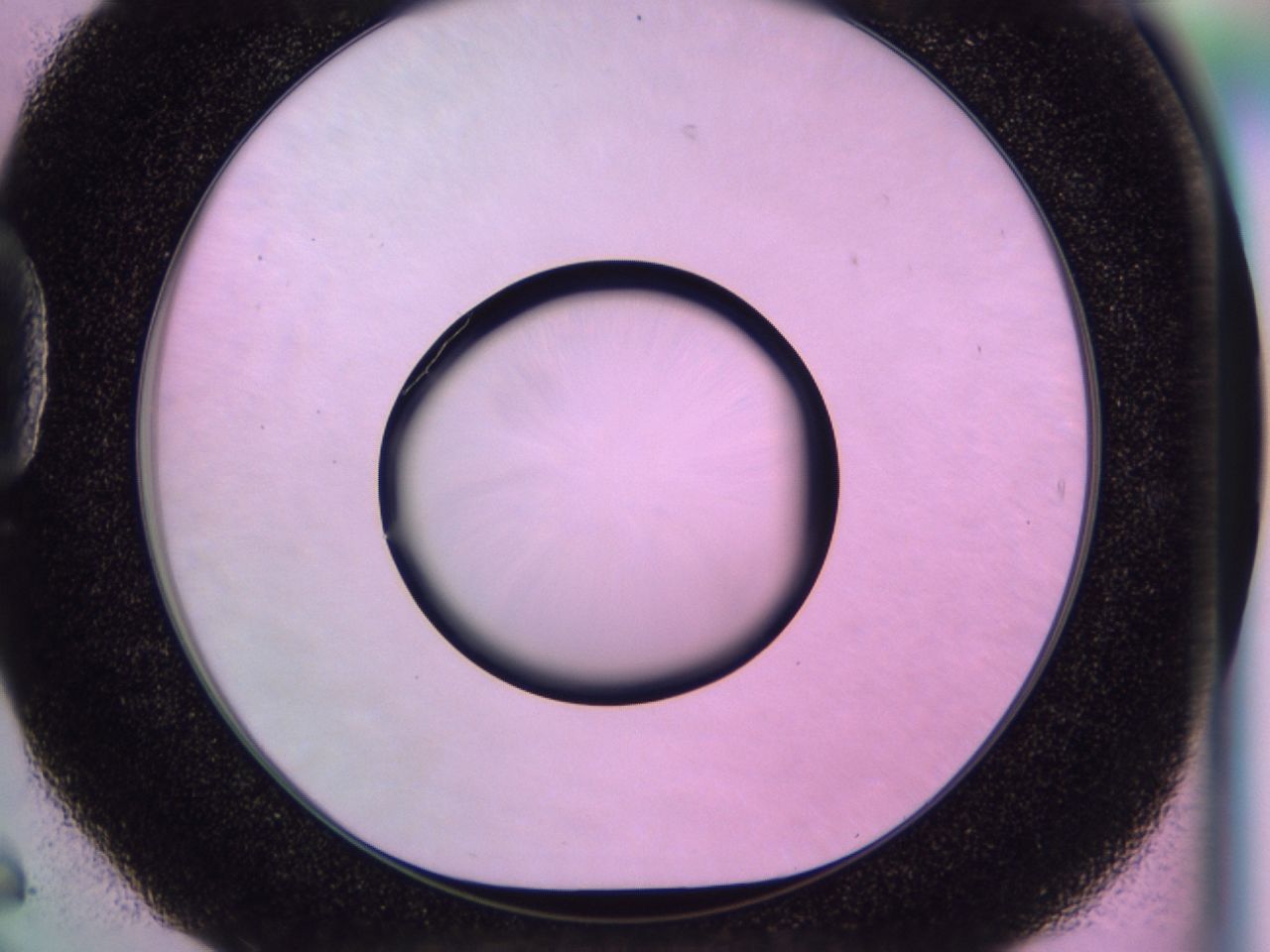 0170_D6_ImagerDefaults_0.jpg