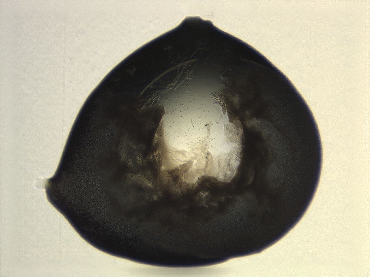 04cn_G10_ImagerDefaults_3.jpg