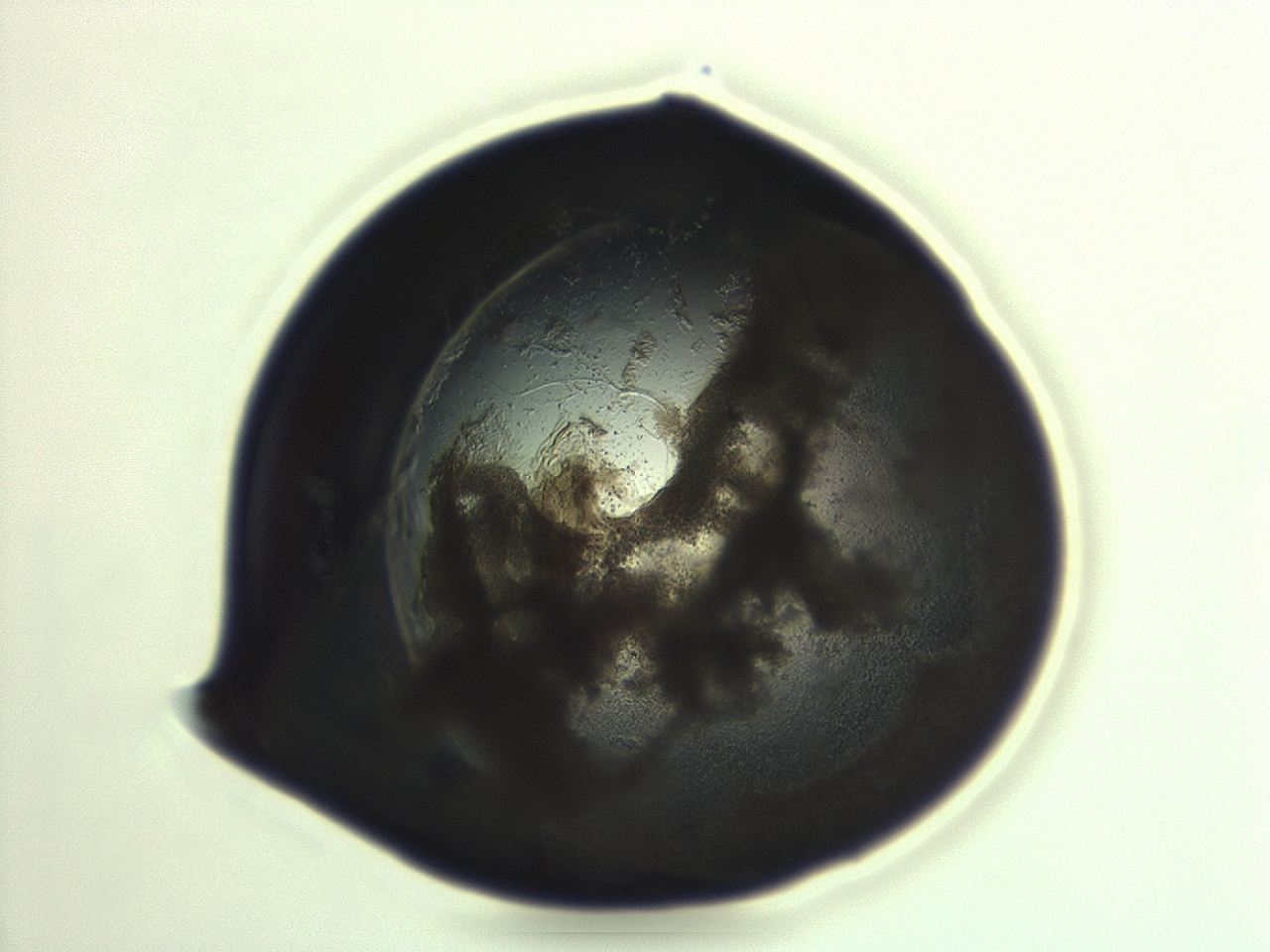 04cn_G11_ImagerDefaults_3.jpg