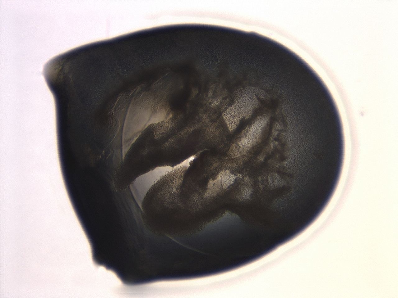 04cn_H6_ImagerDefaults_3.jpg