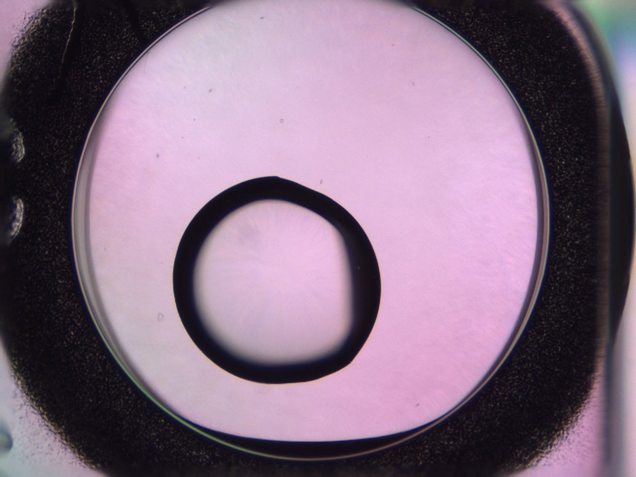 0170_C6_ImagerDefaults_0.jpg