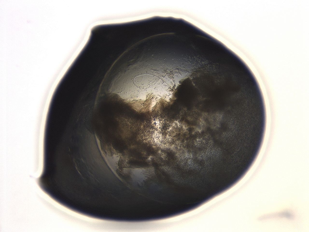 04cn_H10_ImagerDefaults_3.jpg
