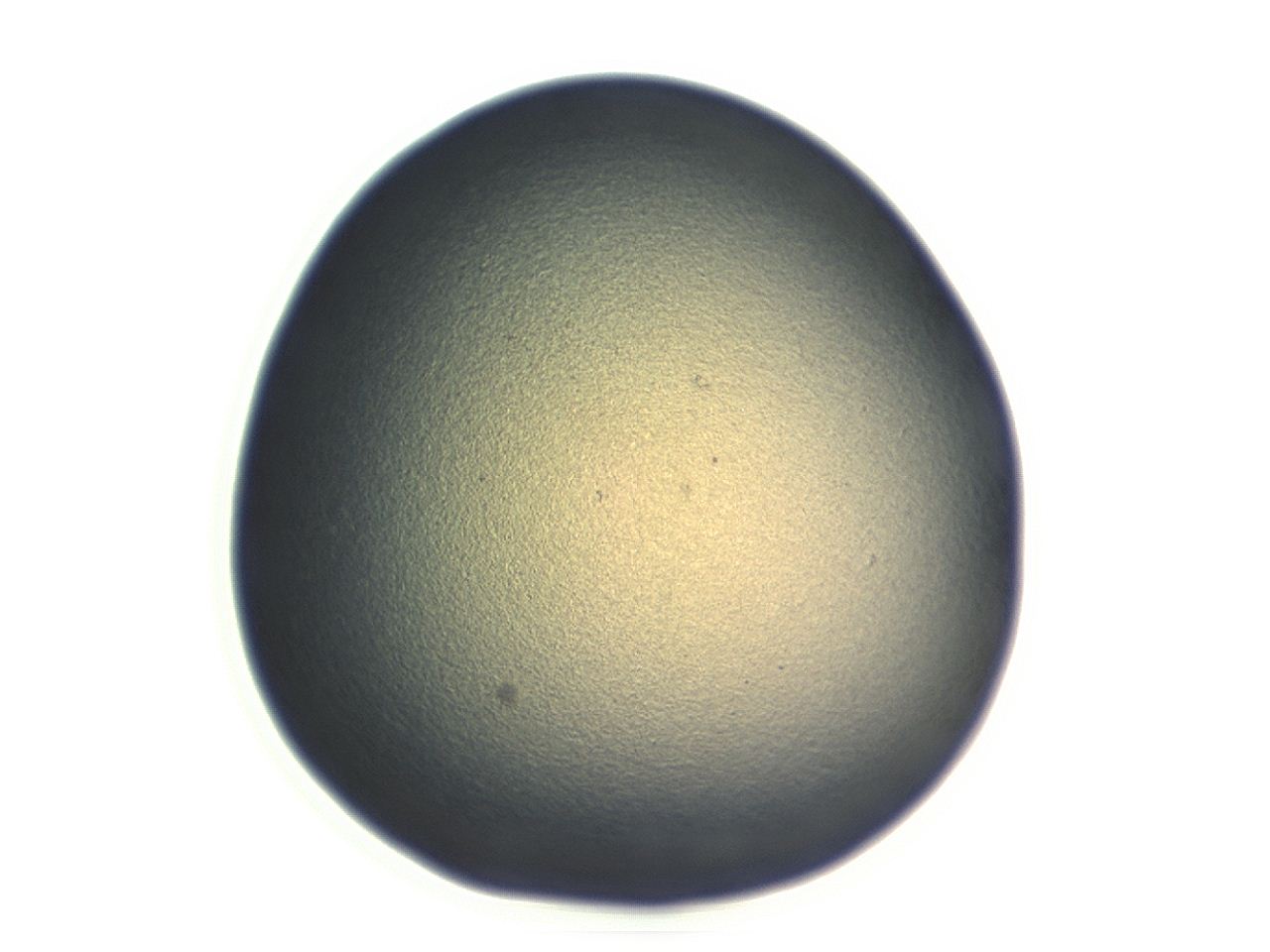 04cn_H11_ImagerDefaults_3.jpg