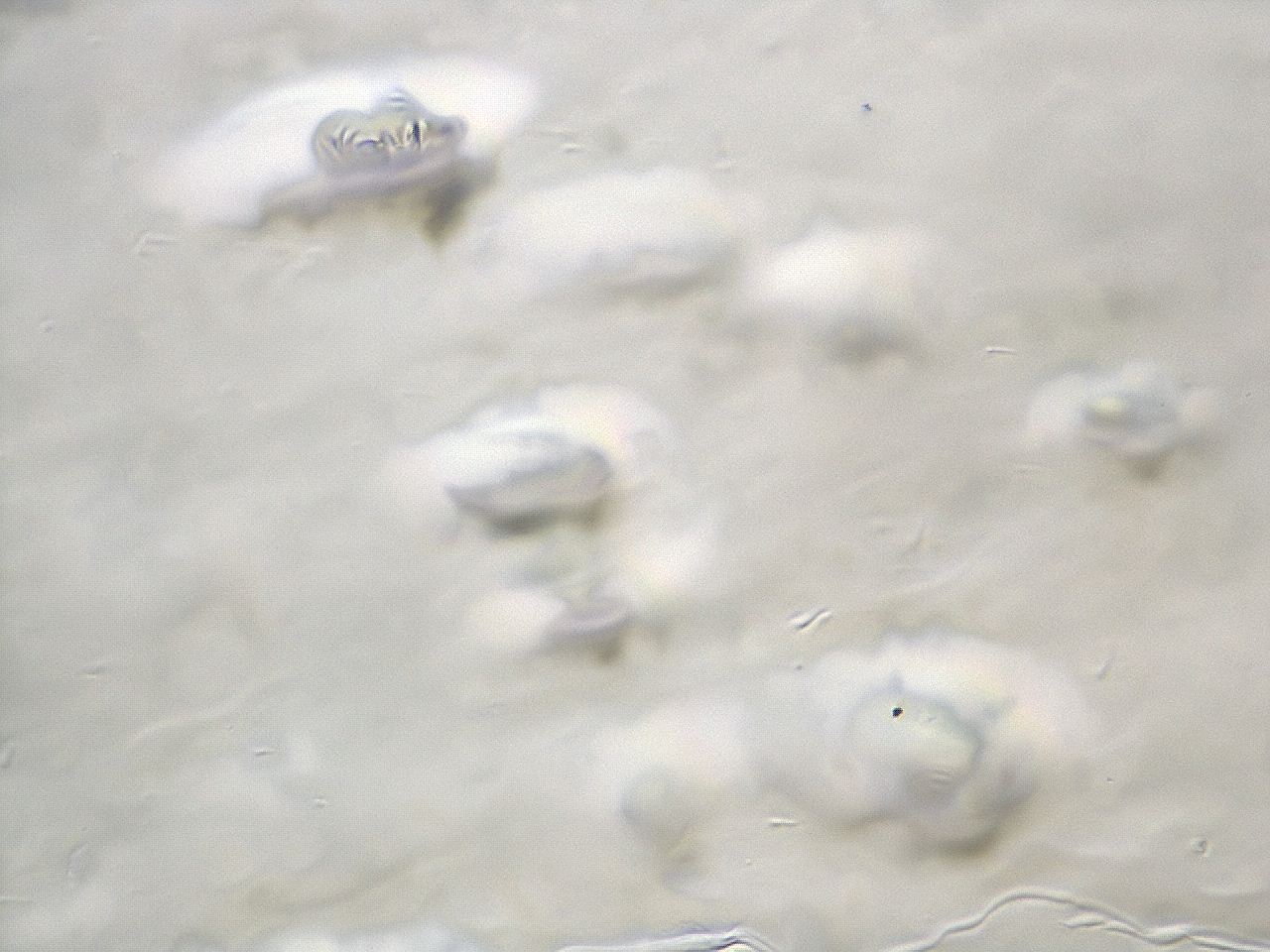 04co_C4_ImagerDefaults_3.jpg