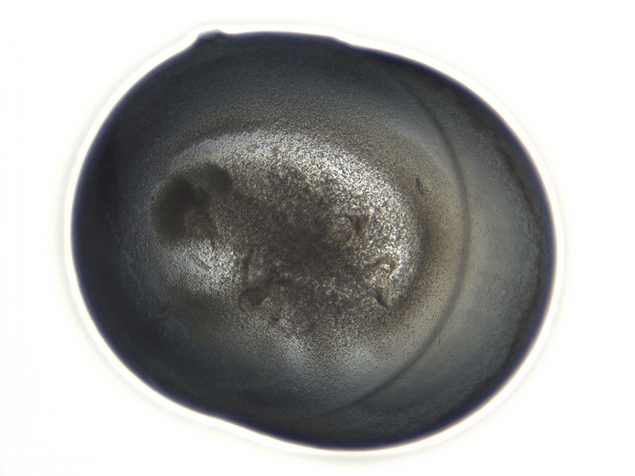 04co_D11_ImagerDefaults_3.jpg