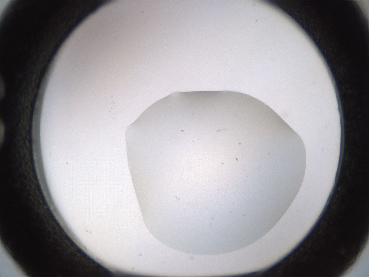 folderID833_plateID2833_batchID15152_wellNum26_profileID1_d1_r232642_ef.jpg