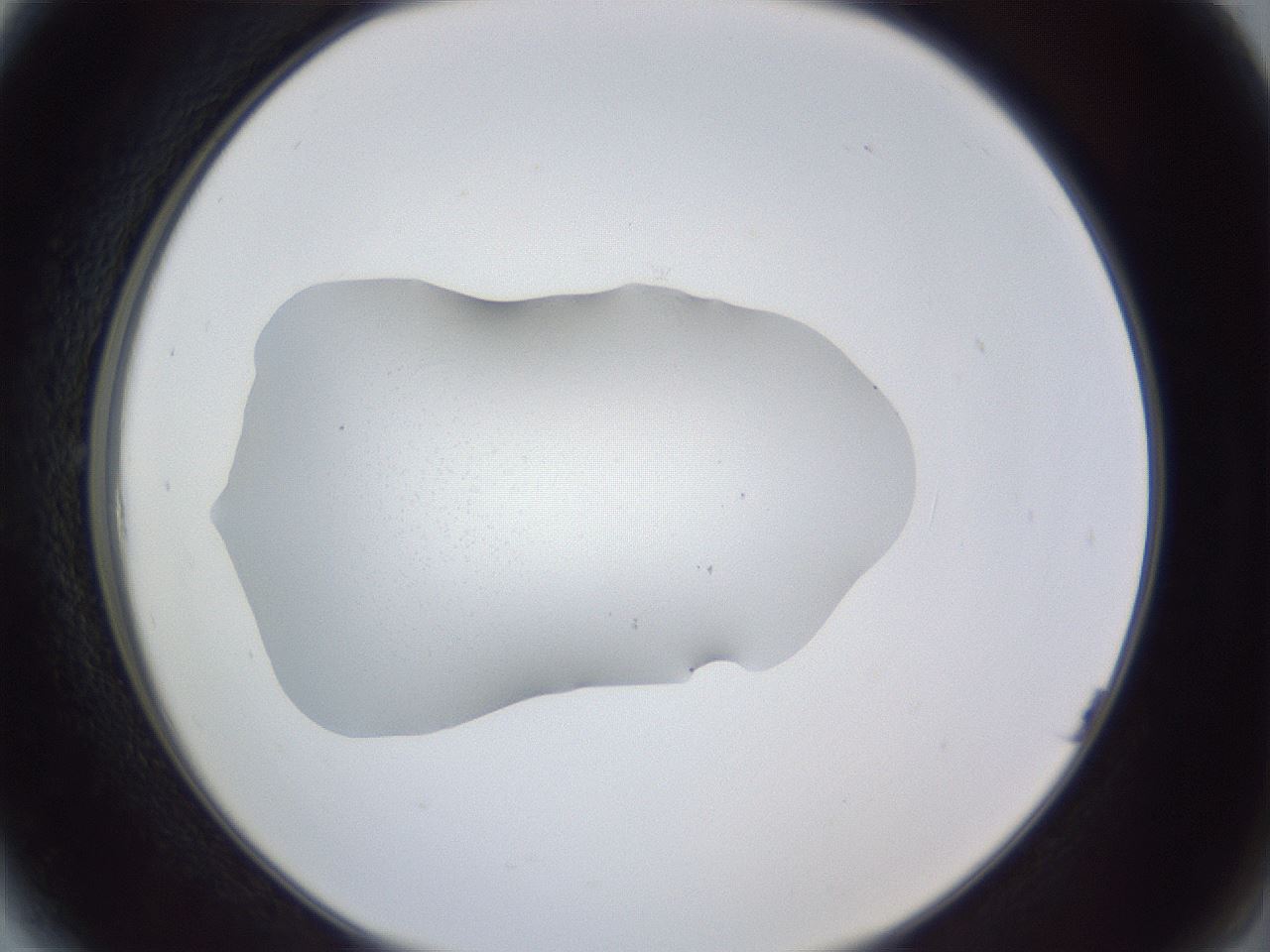 folderID83_plateID1083_batchID3476_wellNum6_profileID1_d2_r49344_ef.jpg