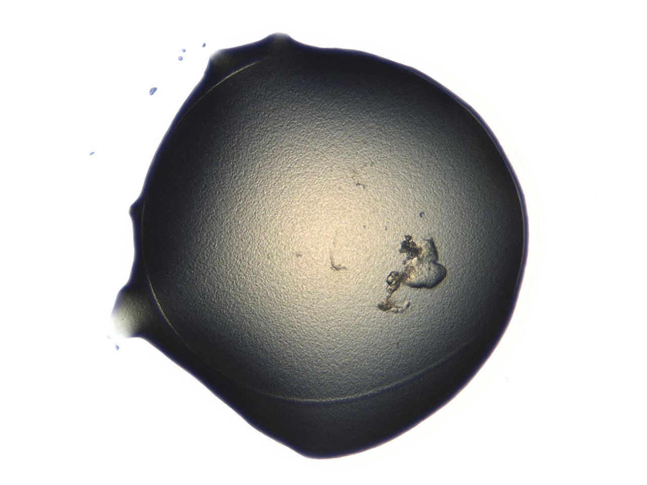 04co_C8_ImagerDefaults_3.jpg