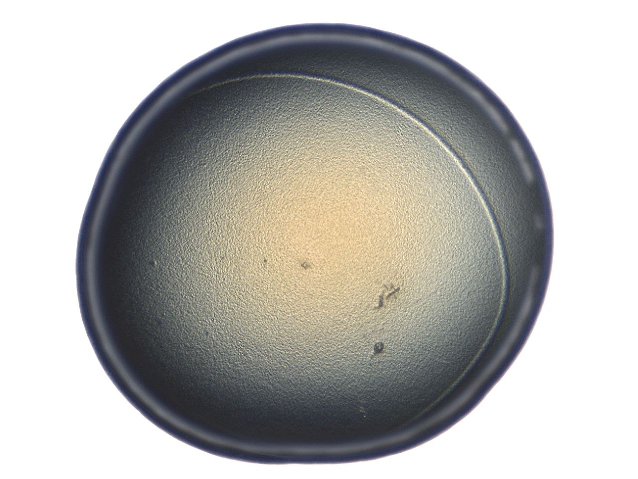 04co_C9_ImagerDefaults_3.jpg
