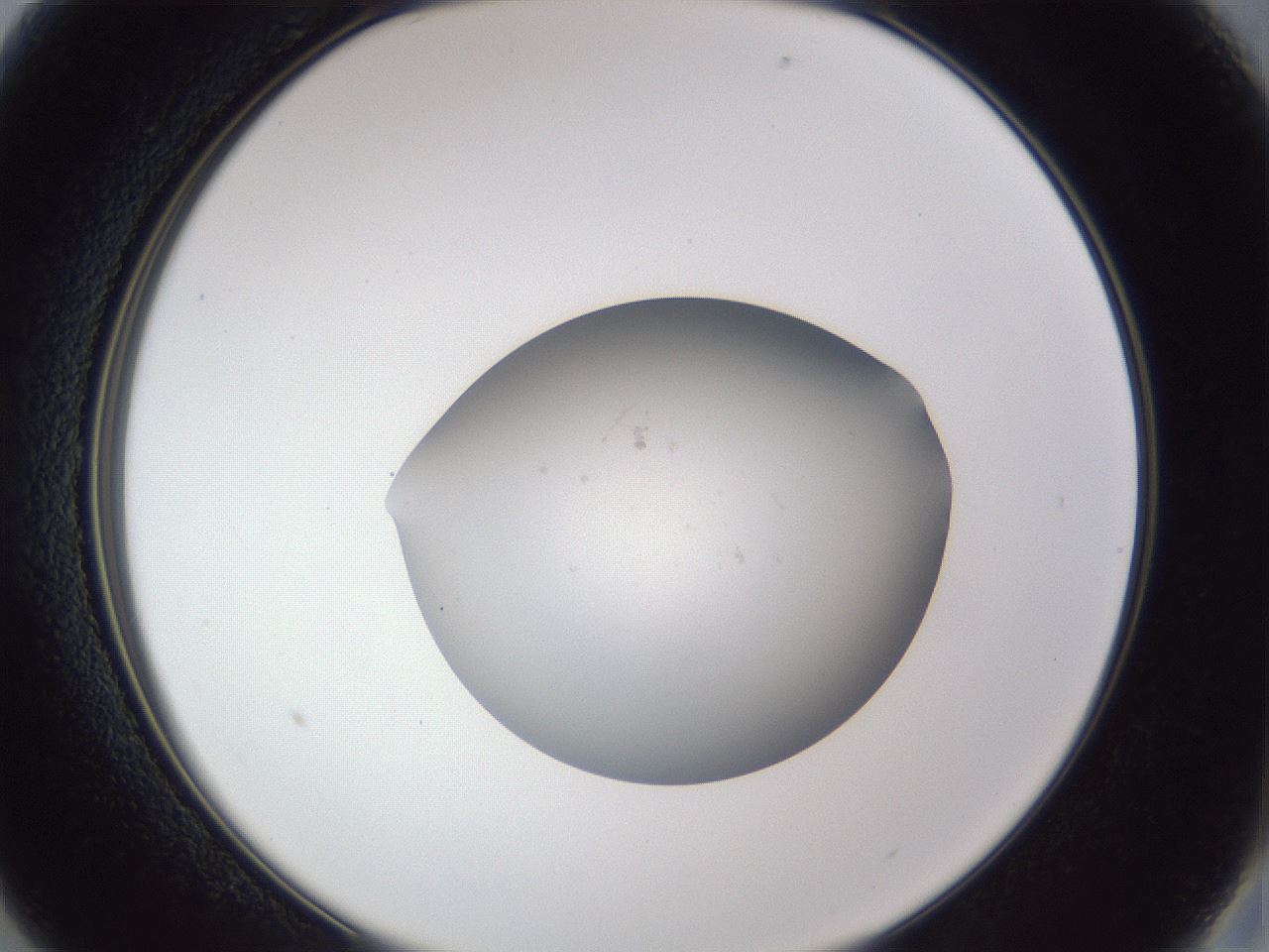 folderID843_plateID1843_batchID7677_wellNum13_profileID1_d2_r125879_ef.jpg