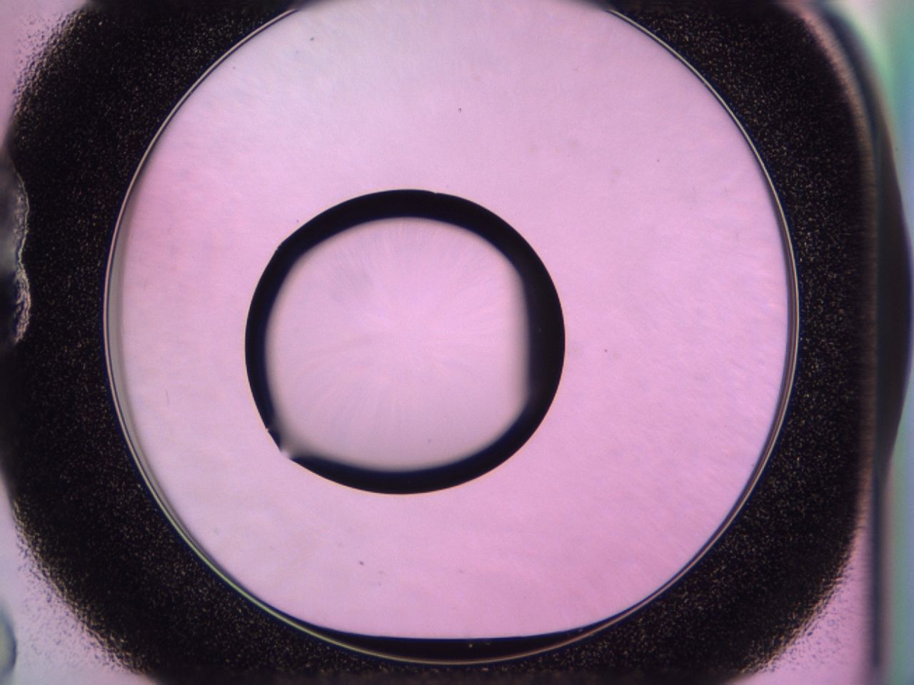 0170_B8_ImagerDefaults_0.jpg