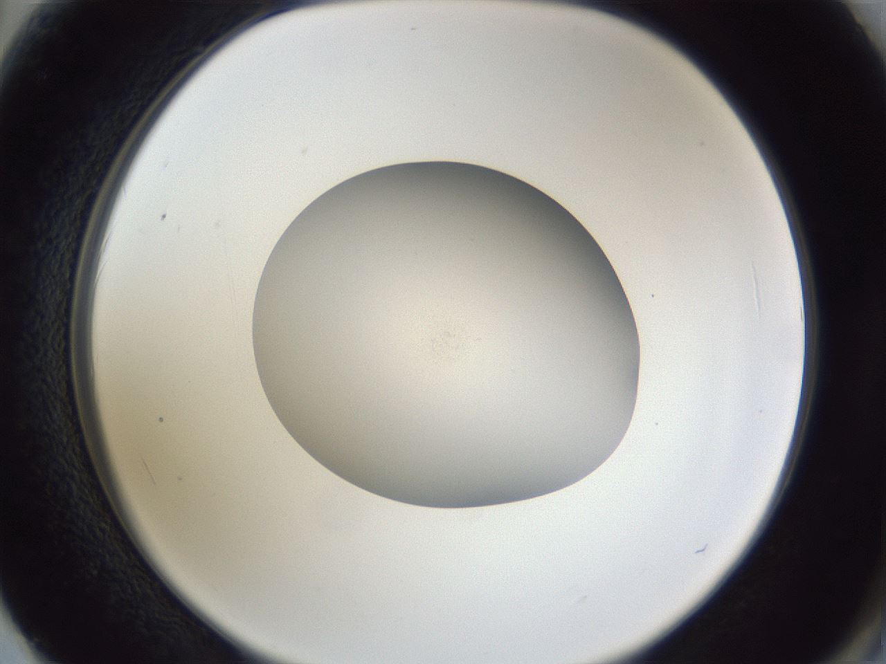 folderID843_plateID1843_batchID8085_wellNum62_profileID1_d2_r125977_ef.jpg