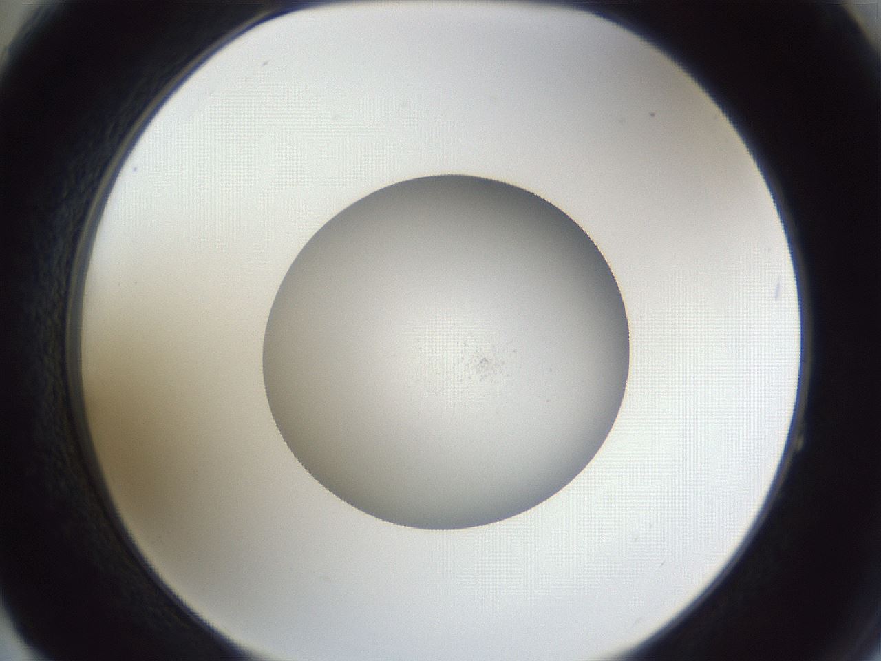 folderID846_plateID1846_batchID7791_wellNum64_profileID1_d2_r125405_ef.jpg