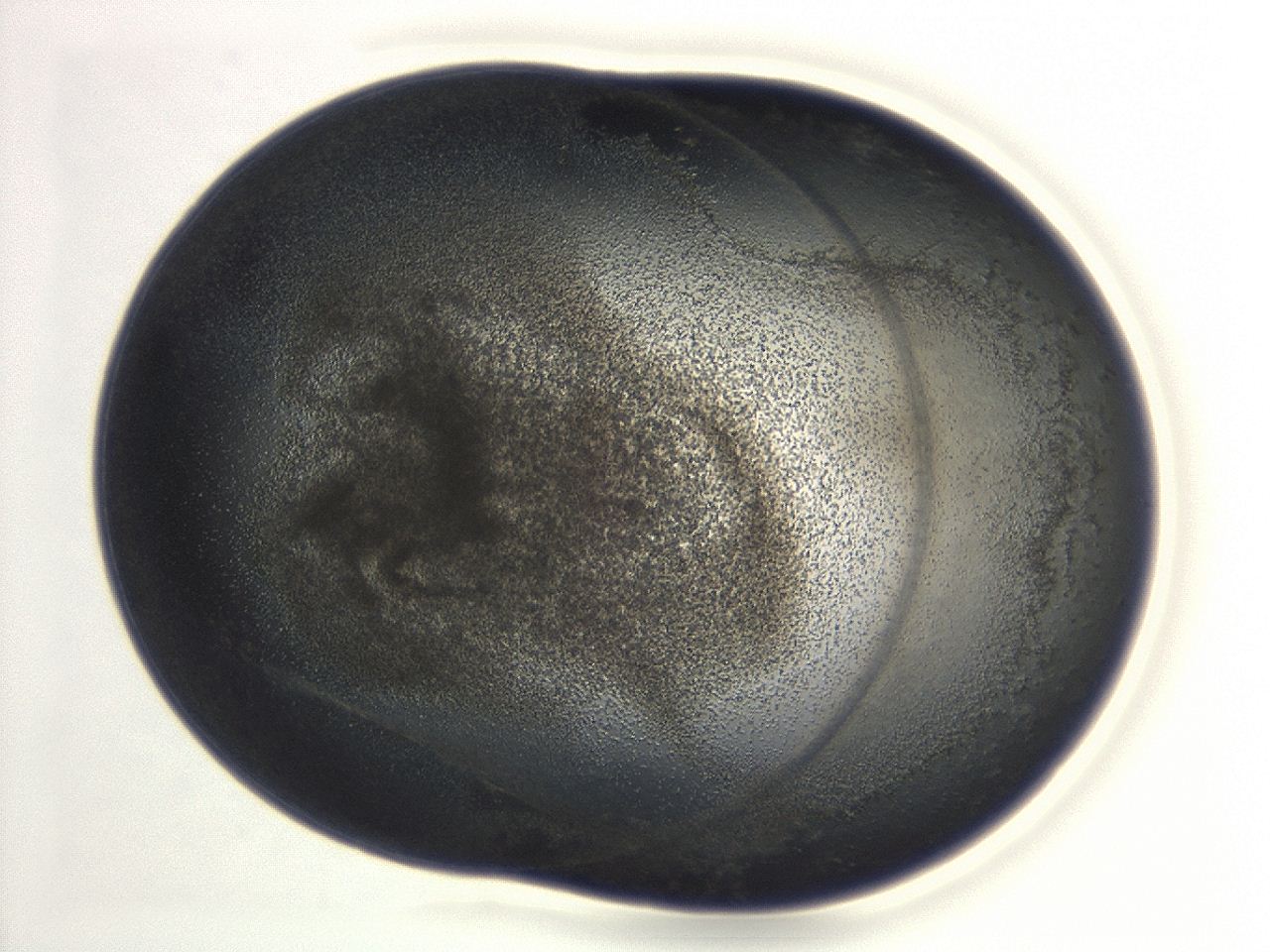 04co_E11_ImagerDefaults_3.jpg