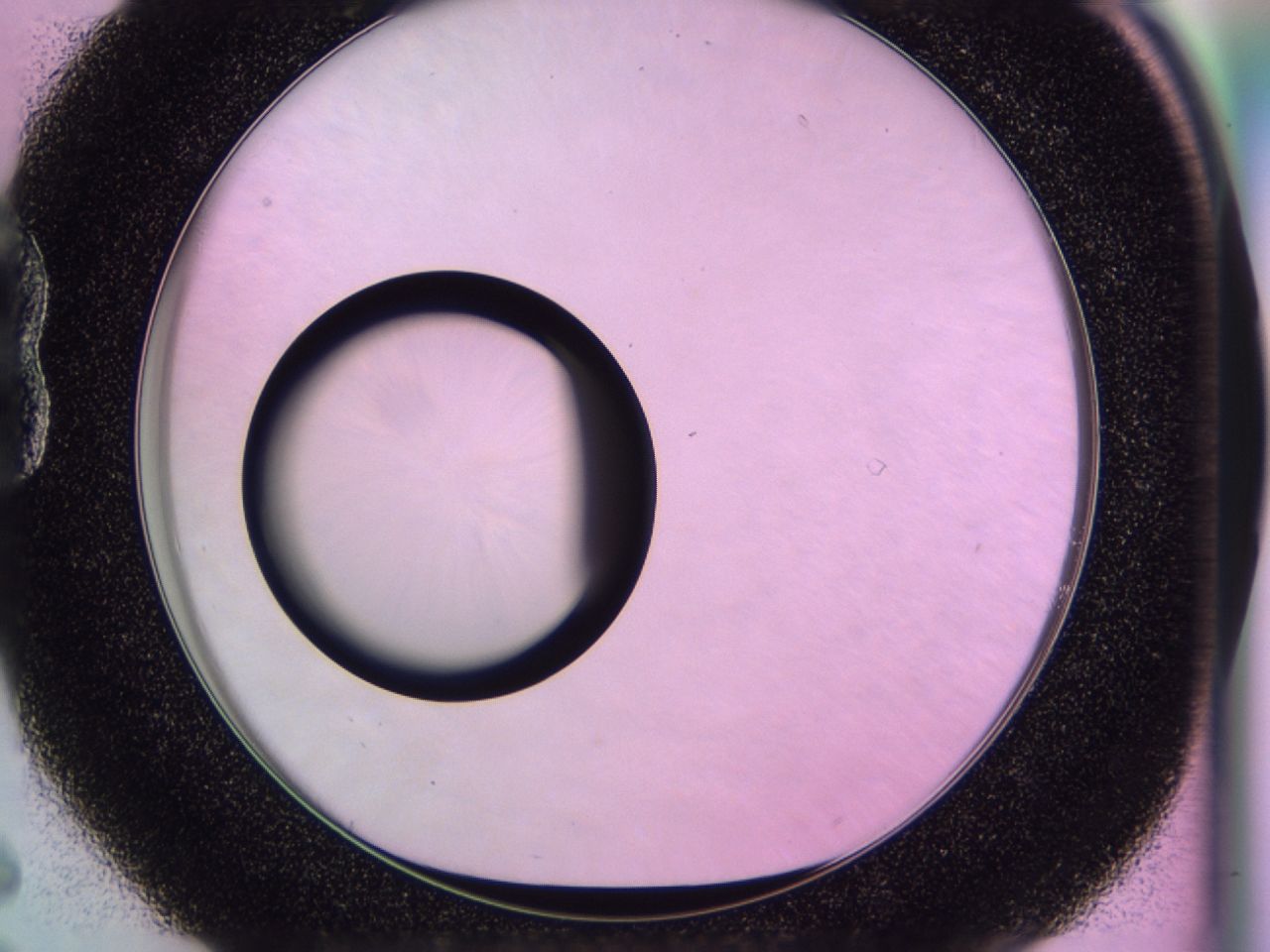 0170_B6_ImagerDefaults_0.jpg