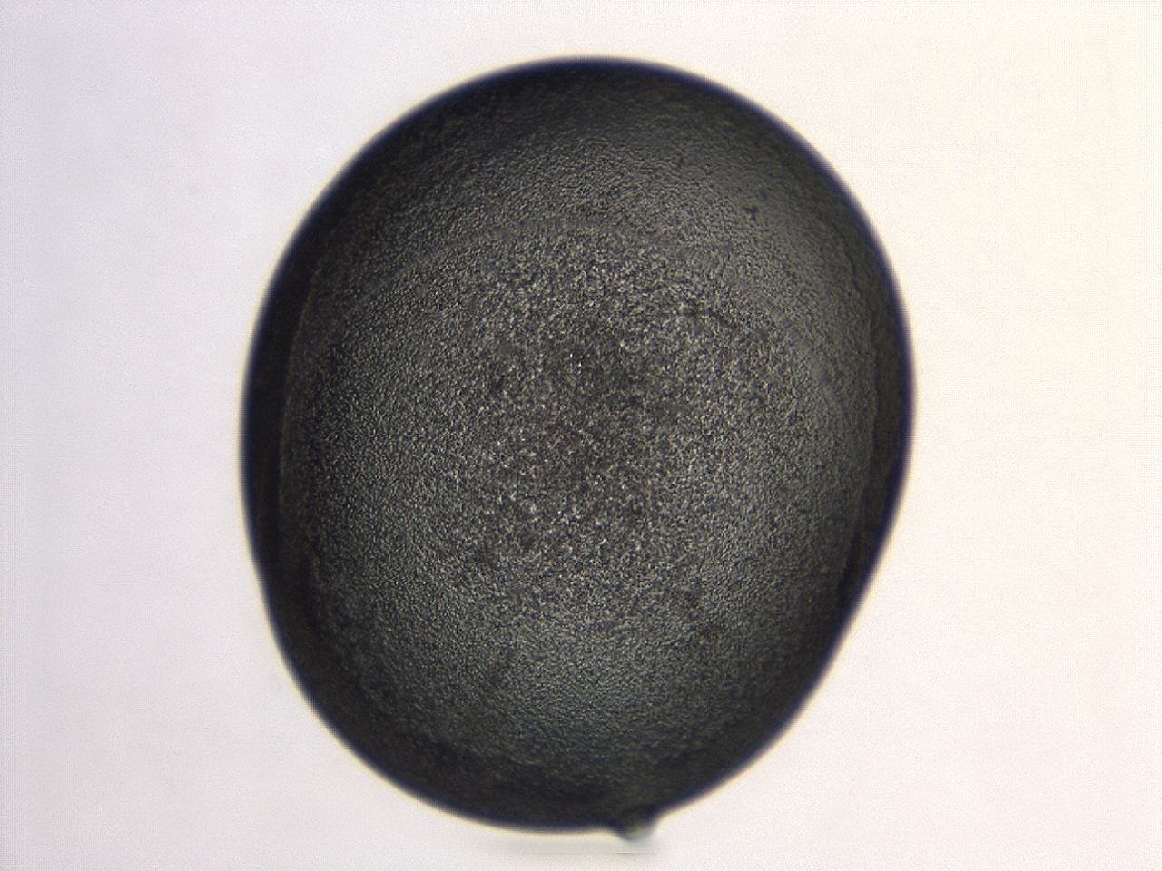 04co_G4_ImagerDefaults_3.jpg