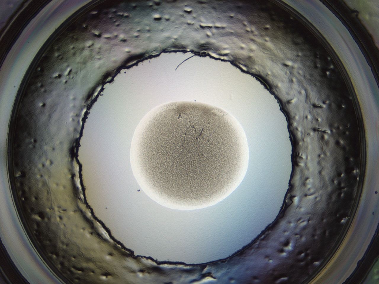 04co_G5_ImagerDefaults_3.jpg