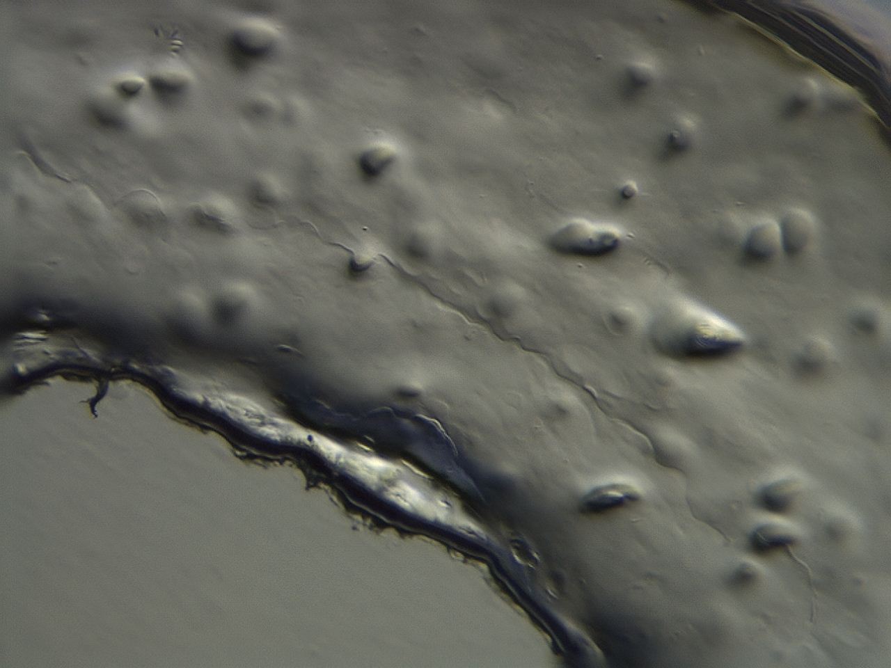 04co_G6_ImagerDefaults_3.jpg