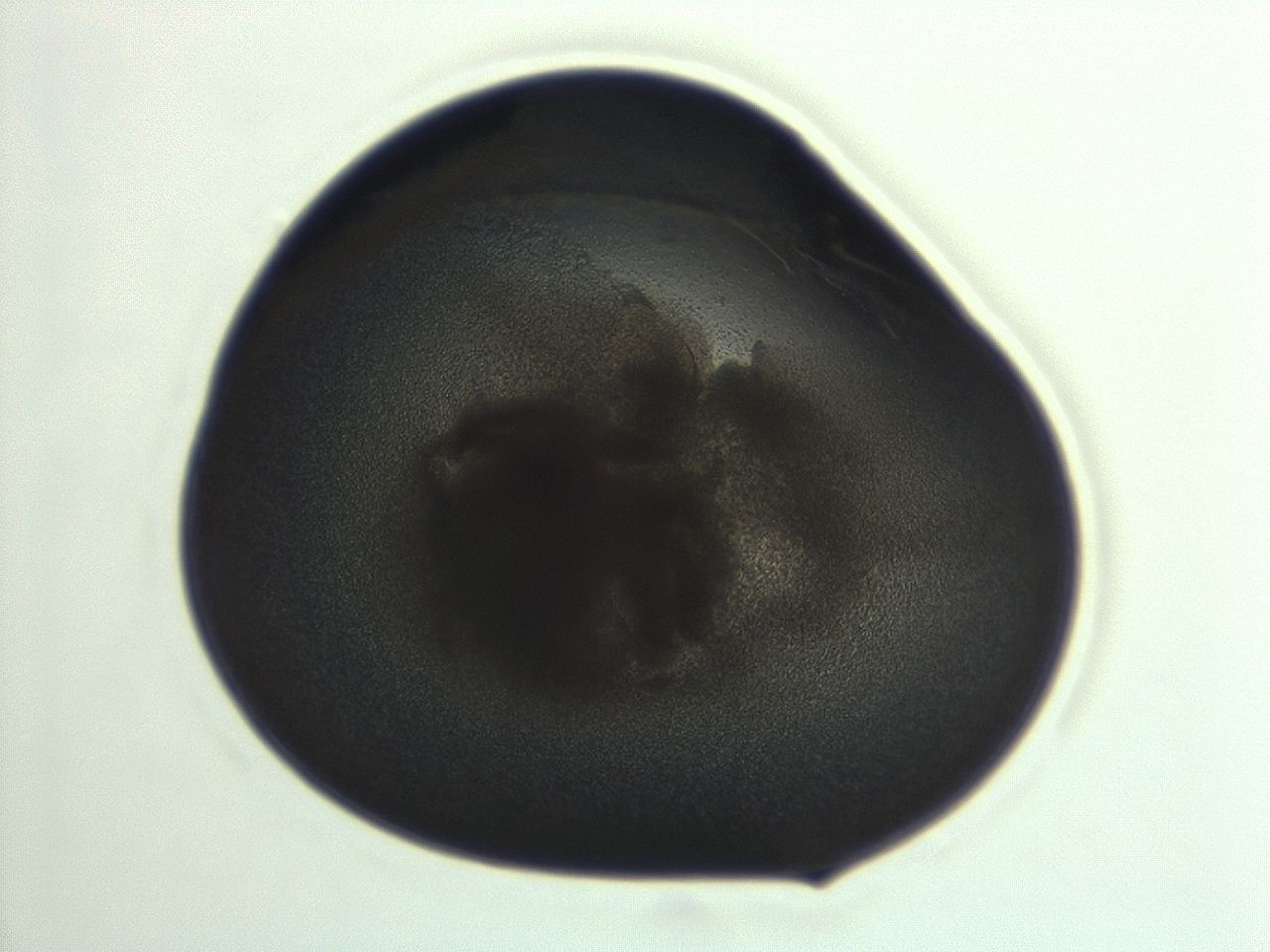 04co_G11_ImagerDefaults_3.jpg