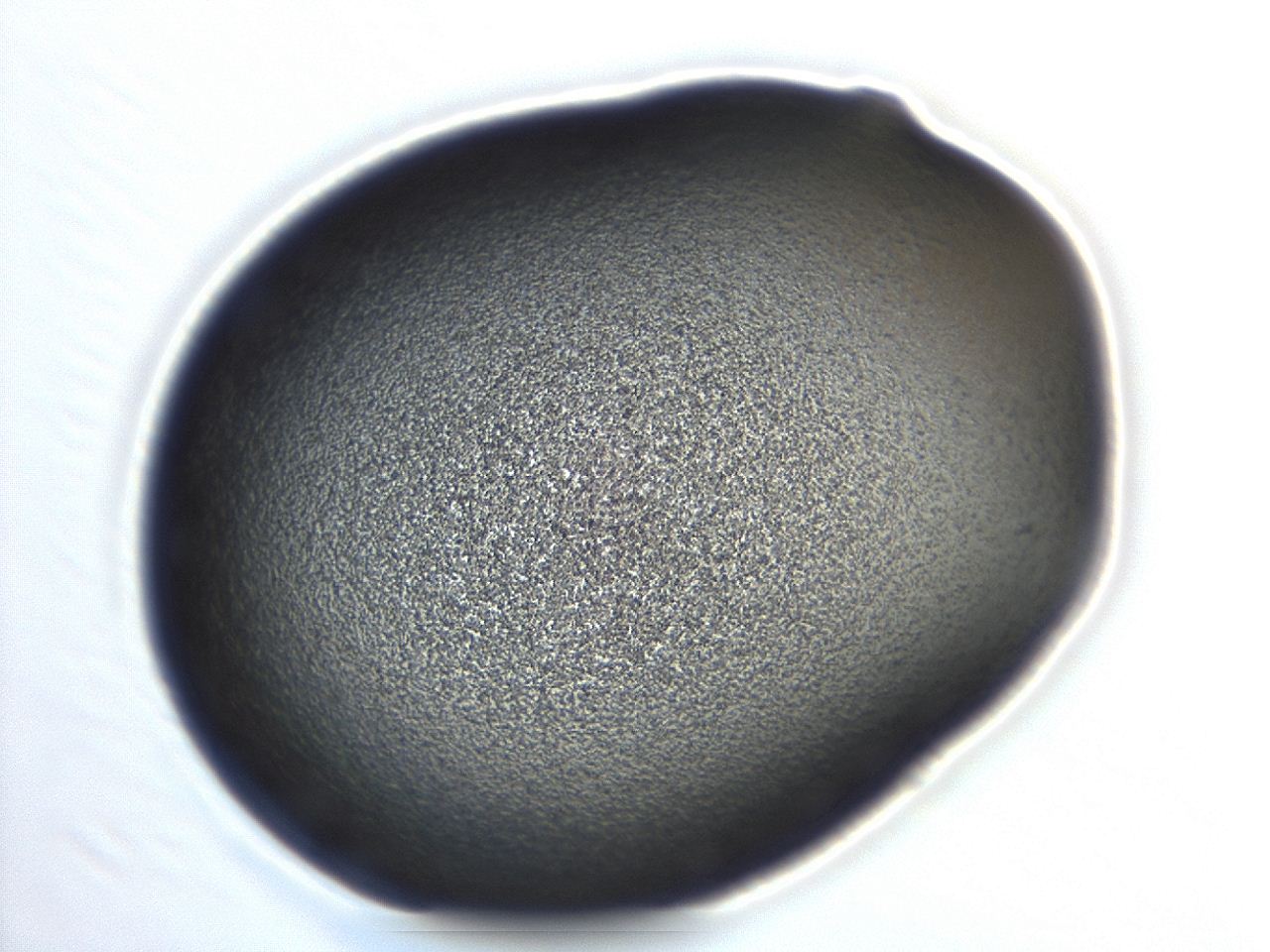 04co_H1_ImagerDefaults_3.jpg