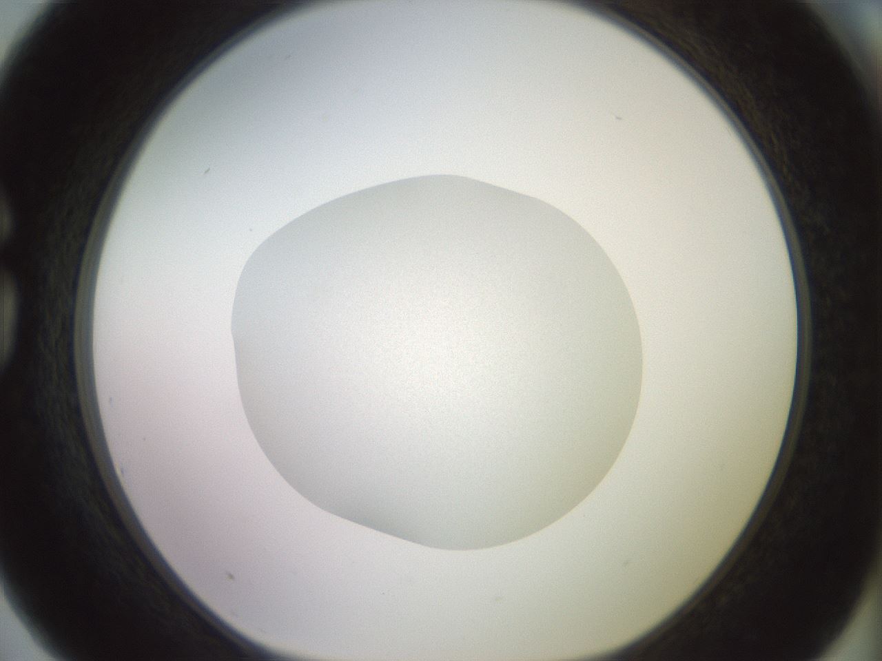 folderID851_plateID1851_batchID7749_wellNum75_profileID1_d1_r124850_ef.jpg