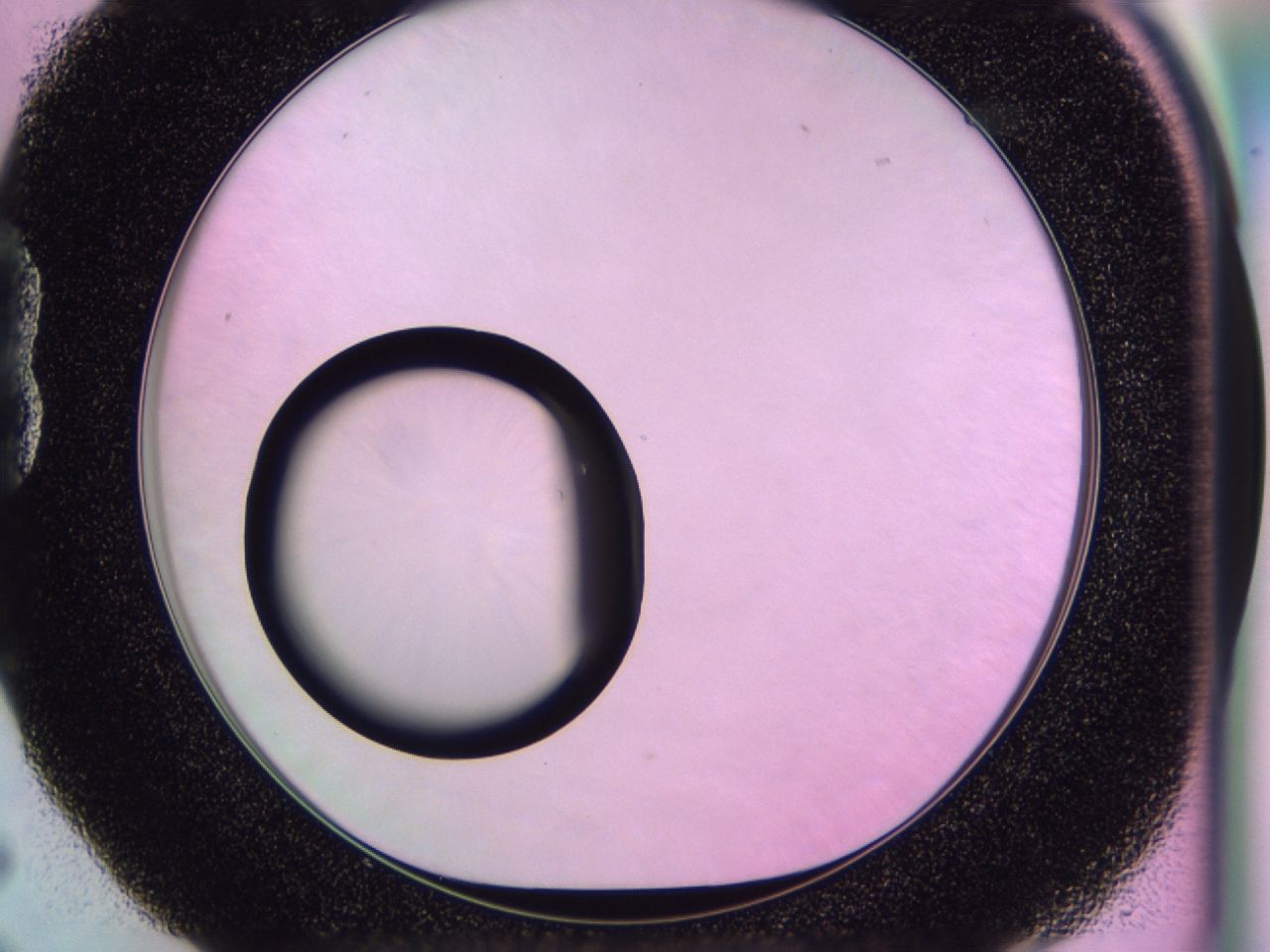 0170_B5_ImagerDefaults_0.jpg