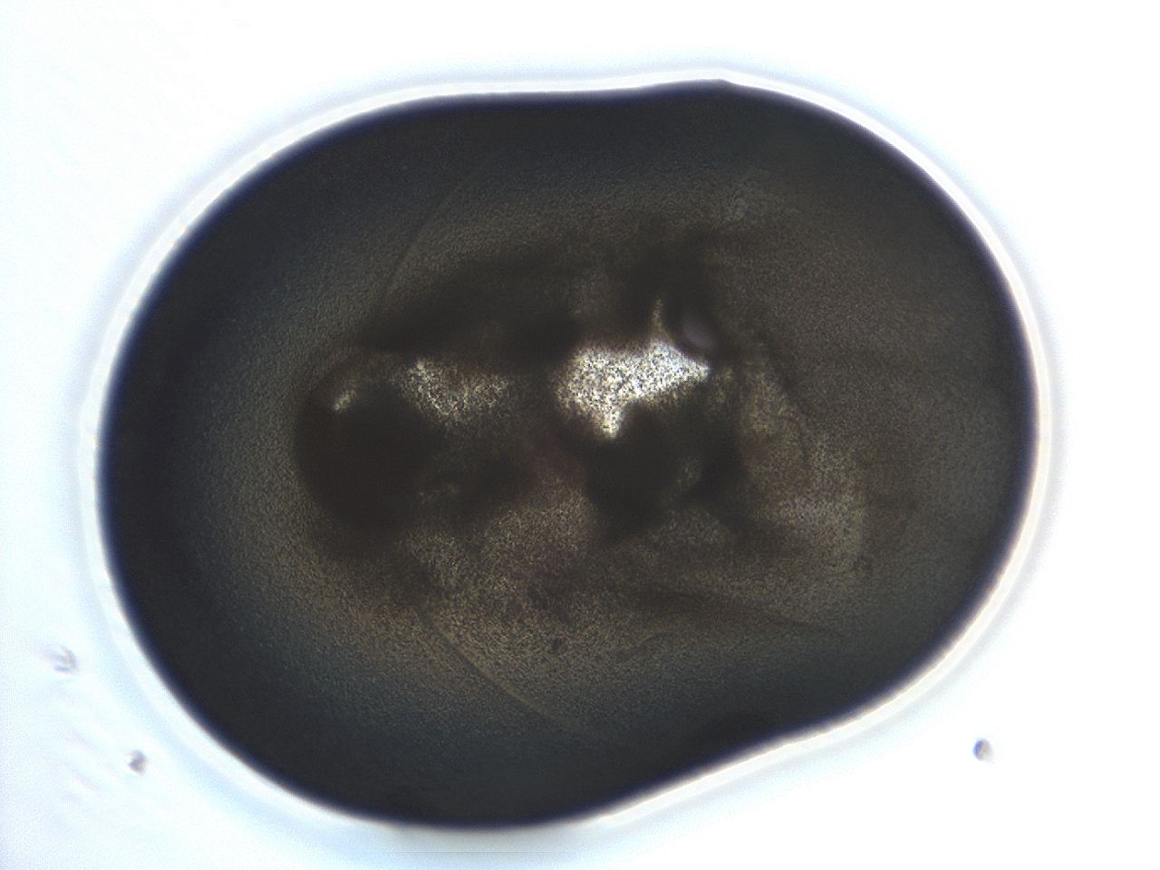 04co_H5_ImagerDefaults_3.jpg