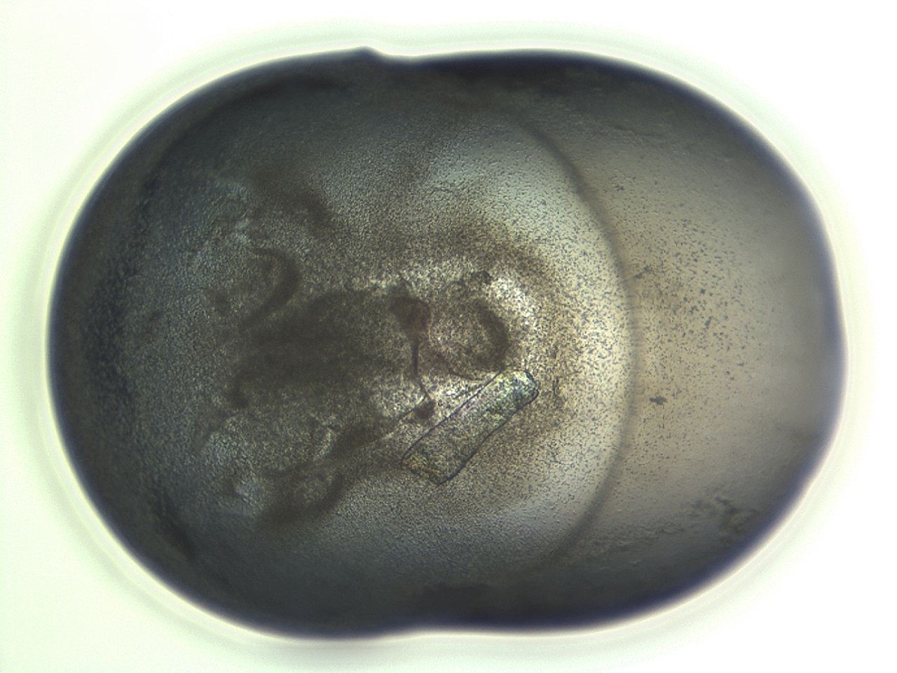 04co_H11_ImagerDefaults_3.jpg