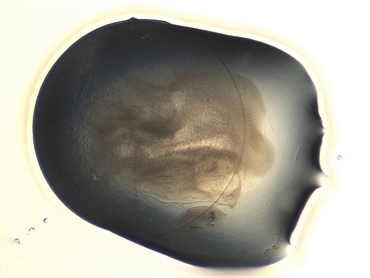 04cp_A10_ImagerDefaults_3.jpg