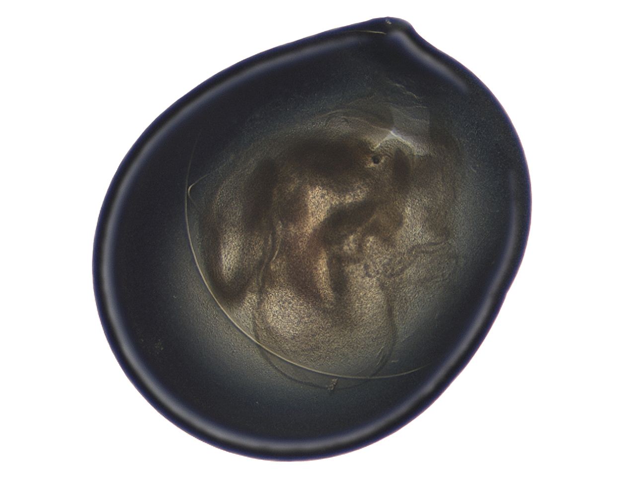 04cp_A8_ImagerDefaults_3.jpg