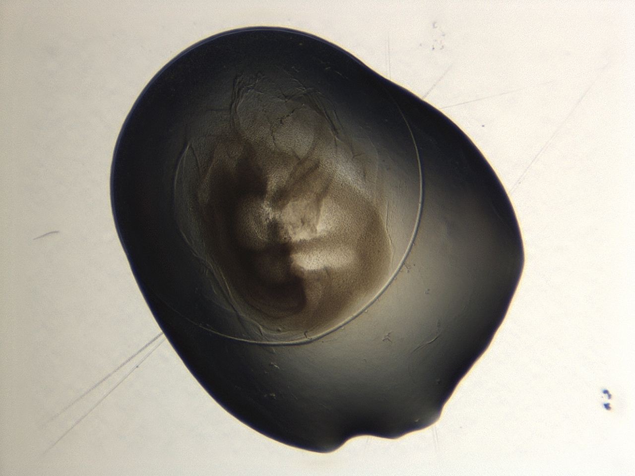 04cp_A11_ImagerDefaults_3.jpg